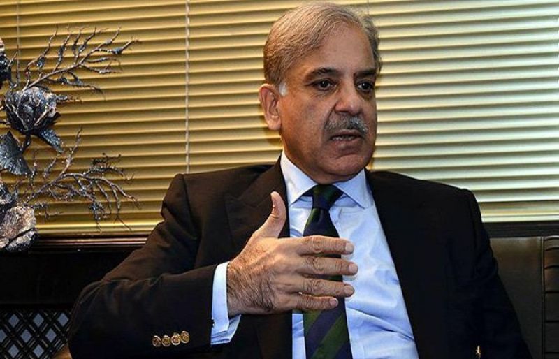 پورازورلگائیں گے کہ بجٹ منظورنہ ہو/شہبازشریف